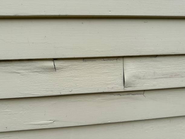 Best Shed Removal  in Clarence Center, NY